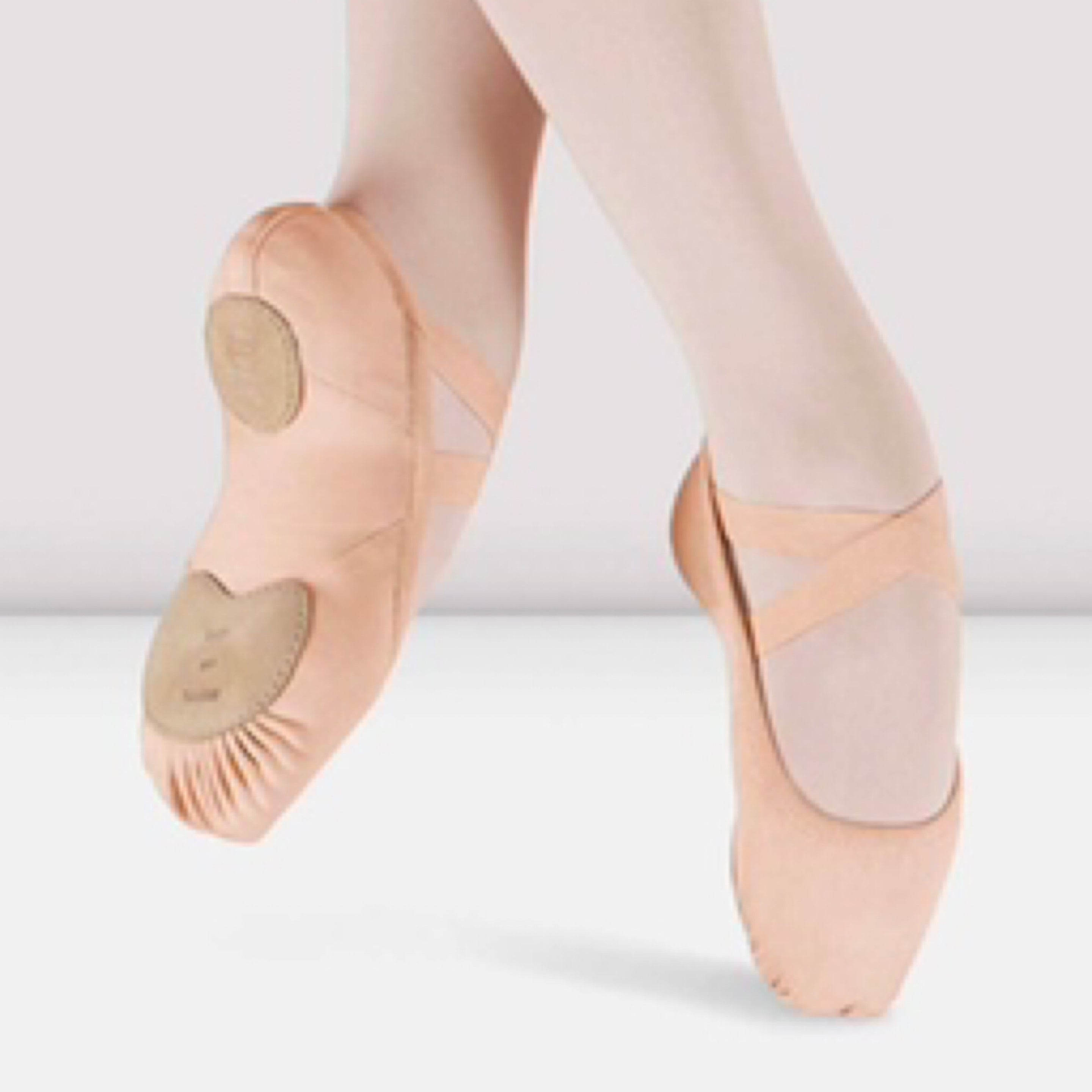 BLOCH Adult Size Elation Ballet Shoe | Dance Street